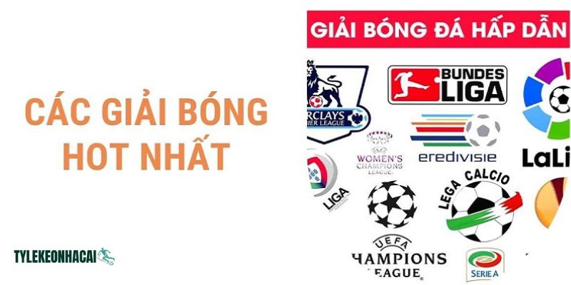 Tại networkunits.io luôn cập nhật đầy đủ lịch mọi giải đấu bóng