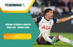 Đội hình dự kiến trước trận Tottenham vs Newcastle